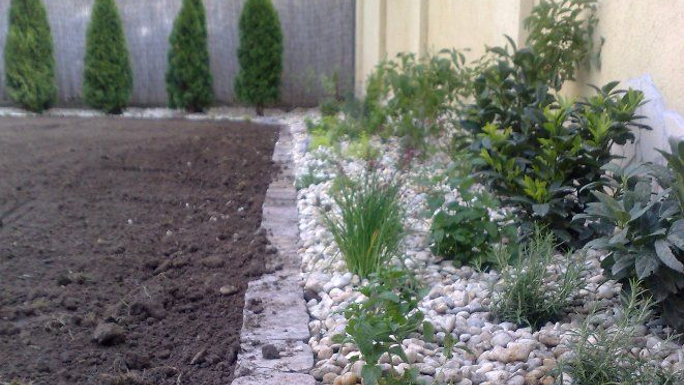 Kertépítés, kertészeti kivitelezés